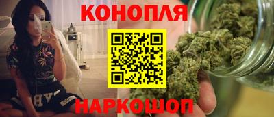 apvp Камышлов
