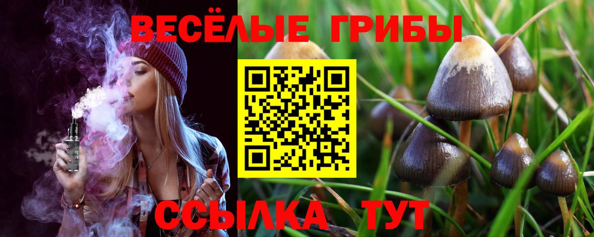 Псилоцибиновые грибы Psilocybe  Вход с VPN  Зерноград 